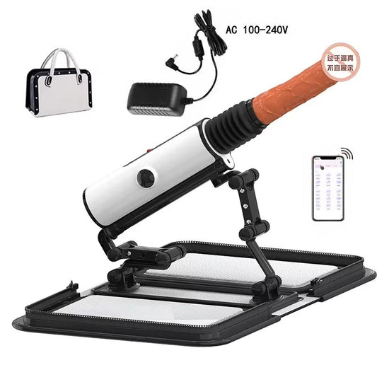 Ladybag Discrete Sex Machine